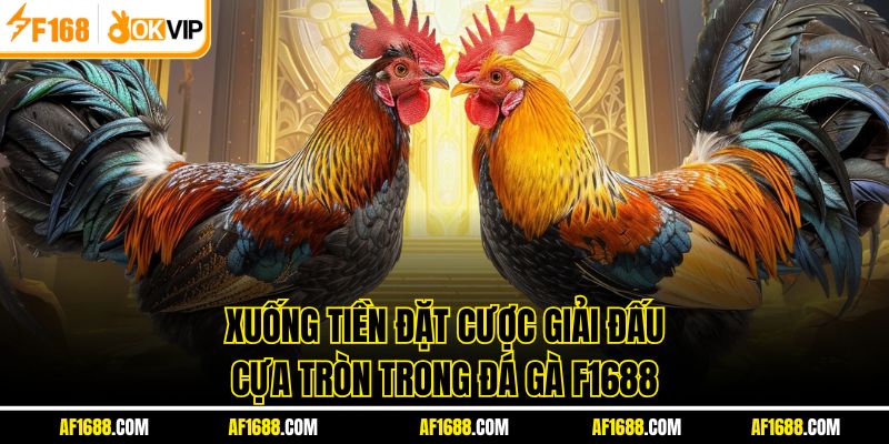 Xuống tiền đặt cược giải đấu cựa tròn trong đá gà F1688